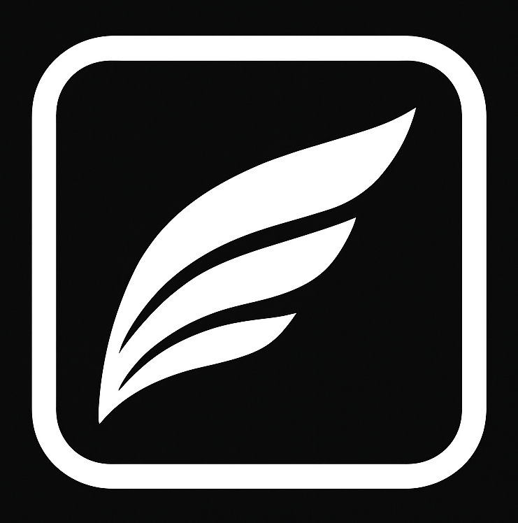 VFS 3X Logo